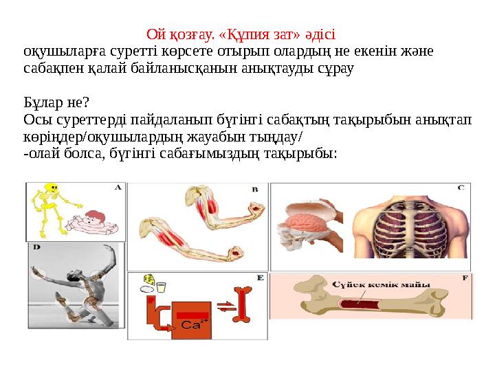 Ой қозғау. «Құпия зат» әдісі оқушыларға суретті көрсете отырып олардың не екенін және сабақпен