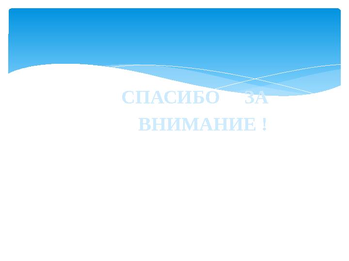 СПАСИБО ЗА ВНИМАНИЕ !