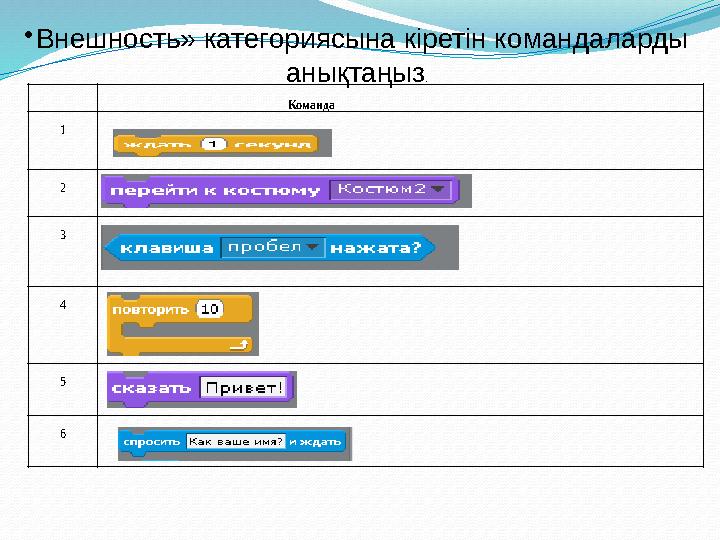 Команда 1 2 3 4 5 6• Внешность» категориясына кіретін командаларды анықтаңыз .