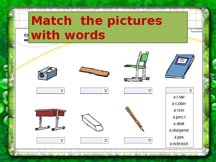 Match the pictures with words