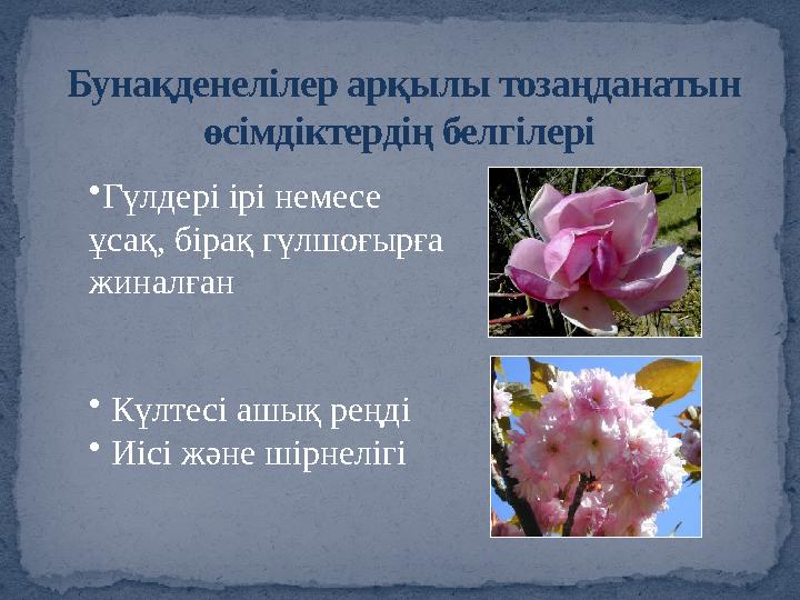 Бунақденелілер арқылы тозаңданатын өсімдіктердің белгілері • Гүлдері ірі немесе ұсақ, бірақ гүлшоғырға жиналған • Күлтесі