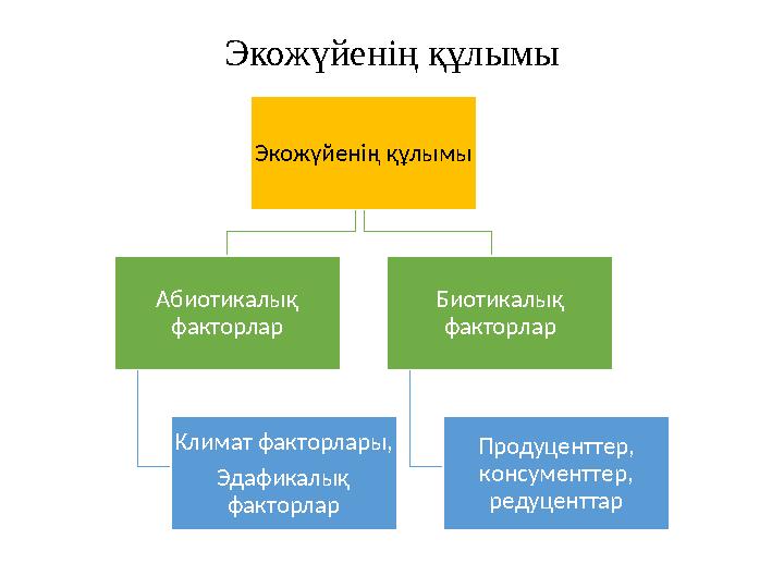 Экожүйенің құлымы Экожүйенің құлымы Абиотикалық факторлар Климат факторлары, Эдафикалық факторлар Биотикалық факторлар Продуц