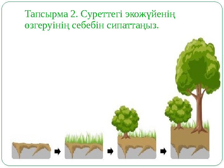 Тапсырма 2. Суреттегі экожүйенің өзгеруінің себебін сипаттаңыз.