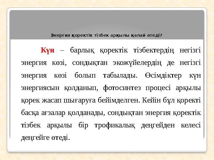 Энергия қоректік тізбек арқылы қалай өтеді? Күн – барлық қоректік тізбектердің негізгі энергия көзі, сондықтан экожүйе