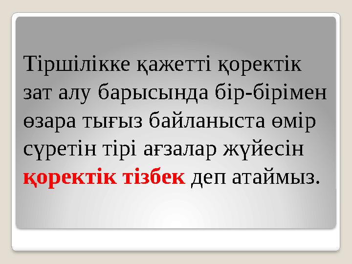 Тіршілікке қажетті қоректік зат алу барысында бір-бірімен өзара тығыз байланыста өмір сүретін тірі ағзалар жүйесін қоректі