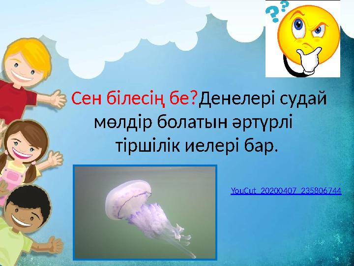 Сен білесің бе? Денелері судай мөлдір болатын әртүрлі тіршілік иелері бар. YouCut_20200407_235806744