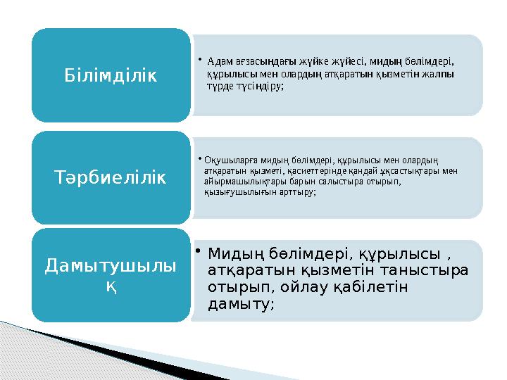 • Адам ағзасындағы жүйке жүйесі, мидың бөлімдері, құрылысы мен олардың атқаратын қызметін жалпы түрде түсіндіру;Білімділік • О