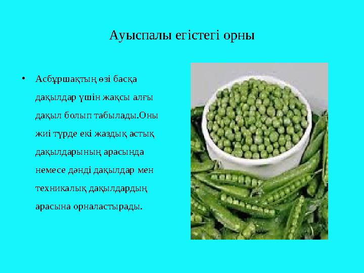 Ауыспалы егістегі орны • Асбұршақтың өзі басқа дақылдар үшін жақсы алғы дақыл болып табылады.Оны жиі түрде екі жаздық астық