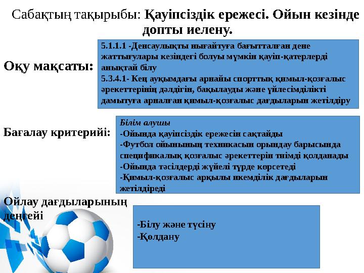 Орынбордағы порно