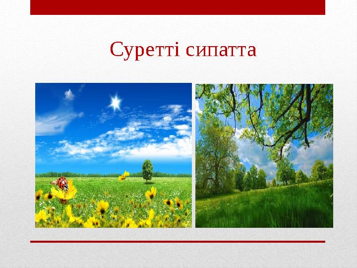 Суретті сипатта