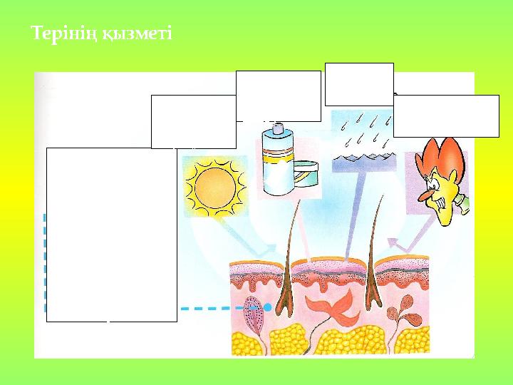Дәретхананың жанында жасырын камера Ольга Куриленконың аяқ фетиші