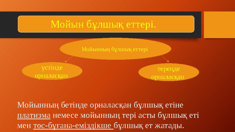 Мойын бұлшық еттері. Мойынның бұлшық еттері Мойынның бетінде орналасқан бұлшық етіне платизма немесе мойынның тер