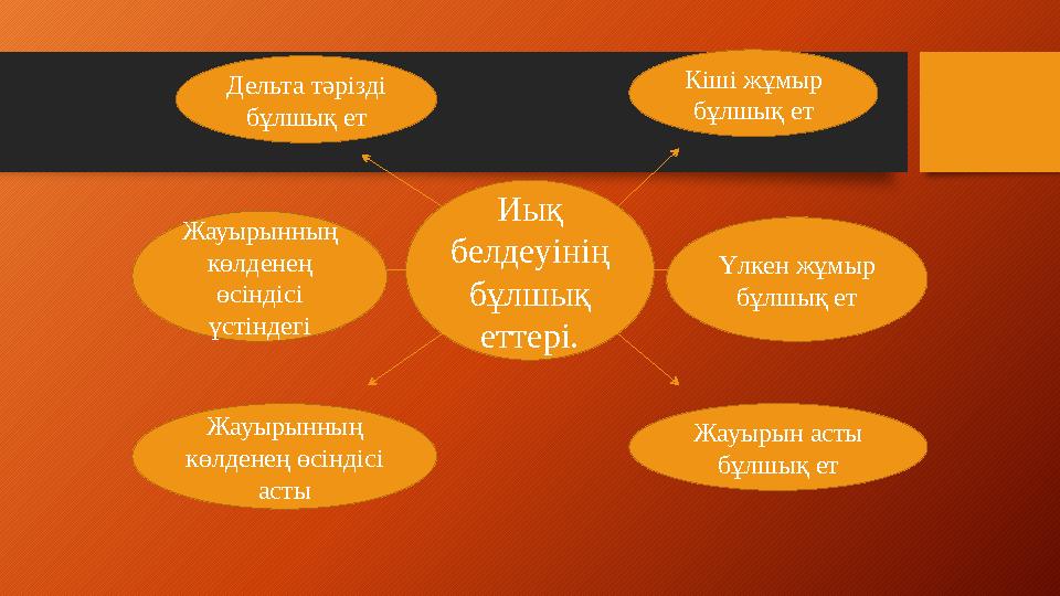 Иық белдеуінің бұлшық еттері.Дельта тәрізді бұлшық ет Кіші жұмыр бұлшық ет Жауырынның көлденең өсіндісі үстіндегі Үлкен