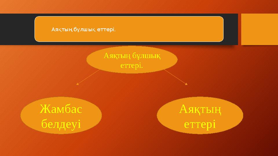Аяқтың бұлшық еттері. Аяқтың бұлшық еттері. Жамбас белдеуі Аяқтың еттері