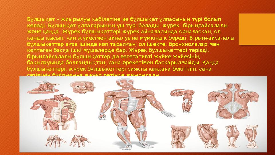 Татуировкасы бар ең танымал еркек порно жұлдыздары