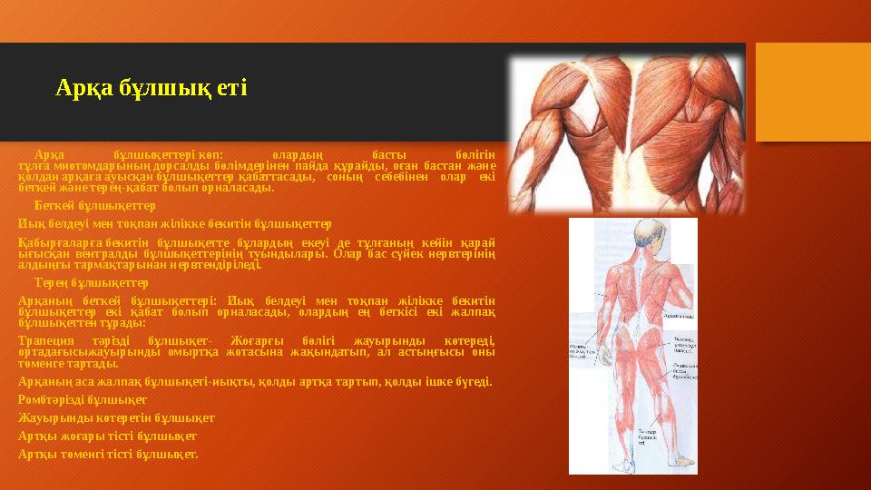 Гном ешкіні сорады (порно)