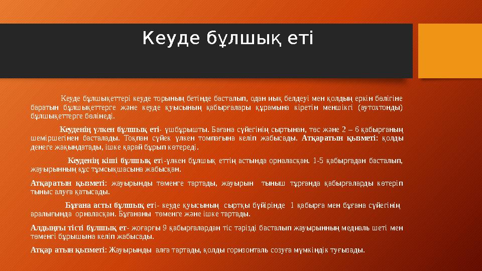 Кеуде бұлшық еті Кеуде бұлшықеттері кеуде торының бетінде басталып, одан иық белдеуі мен қолдың еркін бөліг