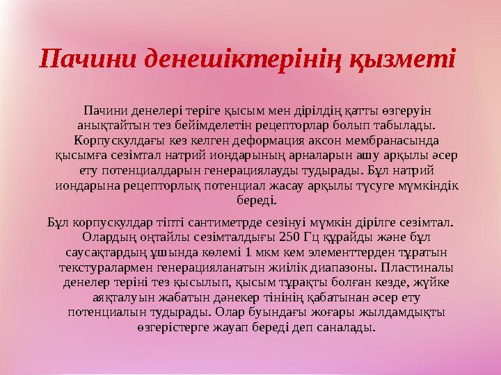 Пачини денешіктері нің қызметі Пачини денелері теріге қысым мен дірілдің қатты өзгеруін анықтайтын тез бейімделетін рецепт