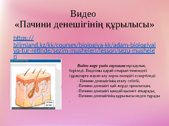 Видео «Пачини денешігінің құрылысы» https:// bilimland.kz/kk/courses/biologiya-kk/adam-biologiyal yq-tur-retinde/sezim-musheler
