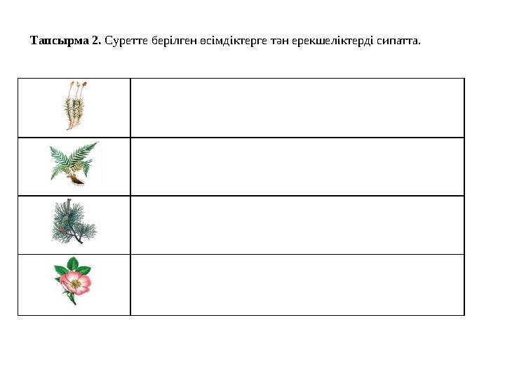 Тапсырма 2 . Cуретте берілген өсімдіктерге тән ерекшеліктерді сипатта.