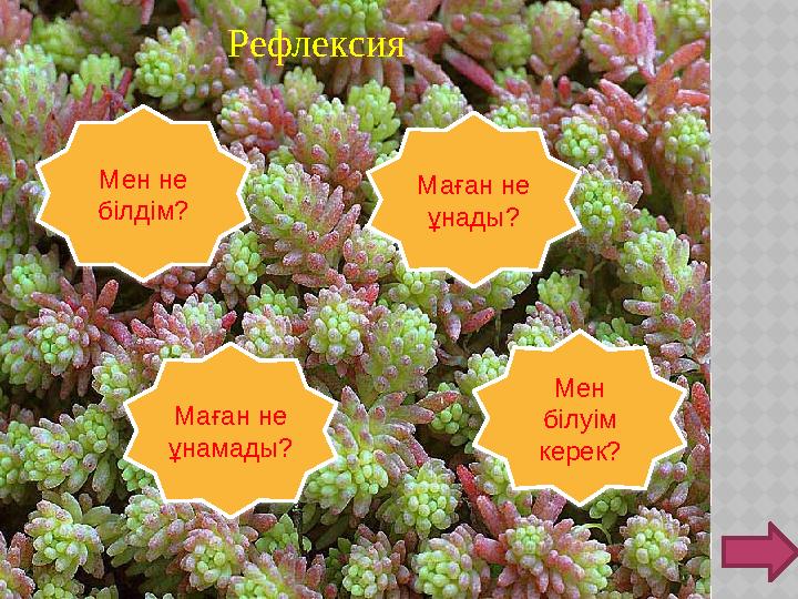 РЕФЛЕКСИЯ Мен не білдім? Маған не ұнады? Маған не ұнамады? Мен білуім керек? Рефле