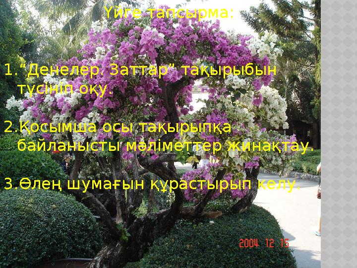 1. “АДАМ ЖӘНЕ ӨСІМДІКТЕР МЕН ЖАНУАРЛАР” ТАҚЫРЫПТЫ ТҮСІНІП ОҚУ. ССС Үйге тапсырма: