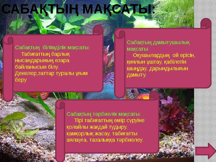 Сабақтың білімділік мақсаты: Табиғаттың барлық нысандарының өзара байланысын білу. Денелер,заттар туралы ұғым беру Саба