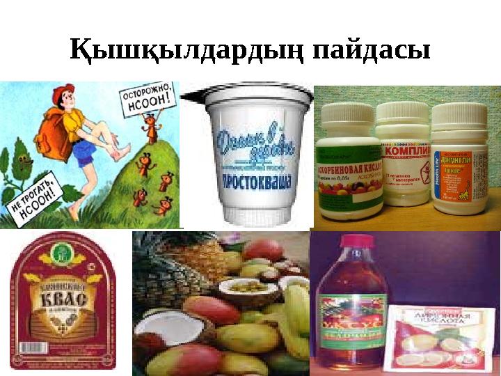 Қышқылдардың пайдасы