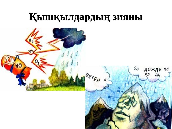 Қышқылдардың зияны