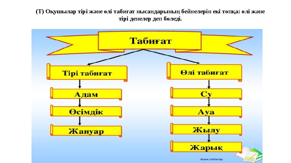 (Т) Оқушылар тірі және өлі табиғат нысандарының бейнелерін екі топқа: өлі және тірі денелер деп бөледі.