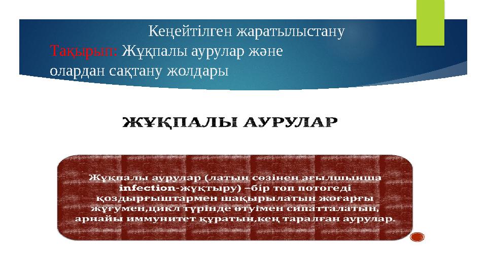 Америкадағы ақшаға арналған онлайн көше порносы