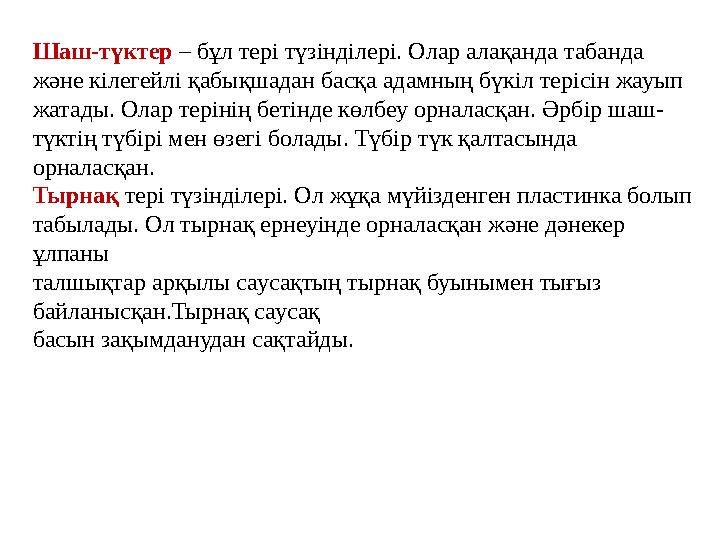 Шаш-түктер – бұл тері түзінділері. Олар алақанда табанда және кілегейлі қабықшадан басқа адамның бүкіл терісін жауып жатады.