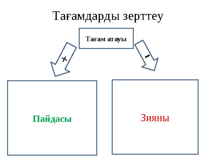 Тағамдарды зерттеу Тағам атауы+ Пайдасы Зияны -