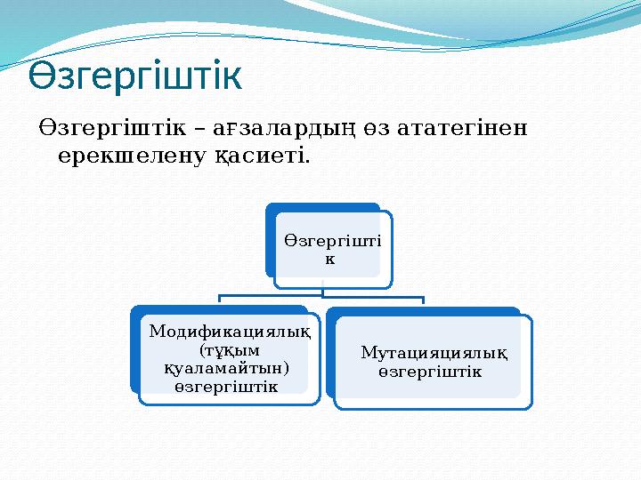 Өзгергіштік Өзгергіштік – ағзалардың өз ататегінен ерекшелену қасиеті. Өзгергішті к Модификациялық (тұқым қуаламайтын) ө