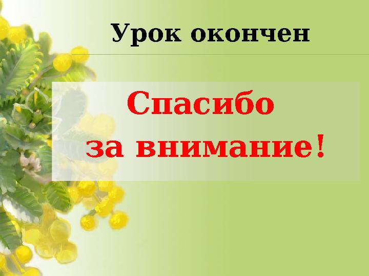Урок окончен Спасибо за внимание!