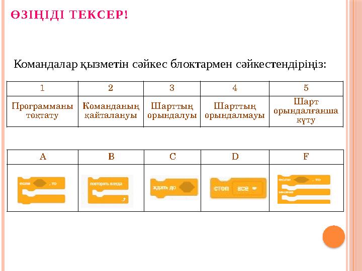 Командалар қызметін сәйкес блоктармен сәйкестендіріңіз: 1 2 3 4 5 Программаны тоқтату Команданың қайталануы Шарттың орындалуы