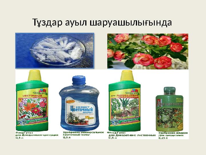 Тұздар ауыл шаруашылығында Тұздар ауыл шаруашылығында