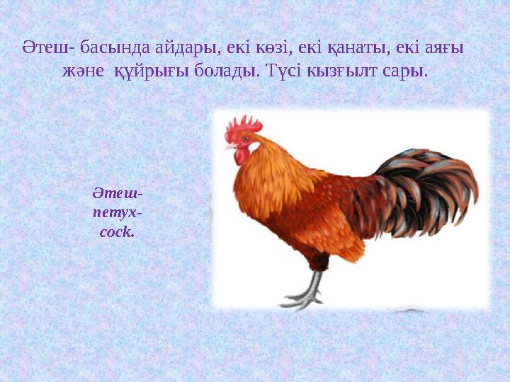 Әтеш- петух- cock . Әтеш- басында айдары, екі көзі, екі қанаты, екі аяғы және құйрығы болады. Түсі кызғылт сары.