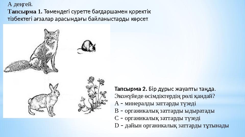 А деңгей. Тапсырма 1. Төмендегі суретте бағдаршамен қоректік тізбектегі ағзалар арасындағы байланыстарды көрсет . Тапсырма 2.
