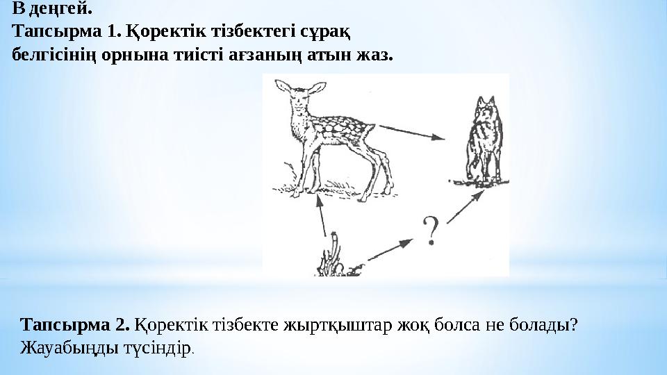 В деңгей. Тапсырма 1. Қоректік тізбектегі сұрақ белгісінің орнына тиісті ағзаның атын жаз. Тапсырма 2. Қоректік тізбекте жырт