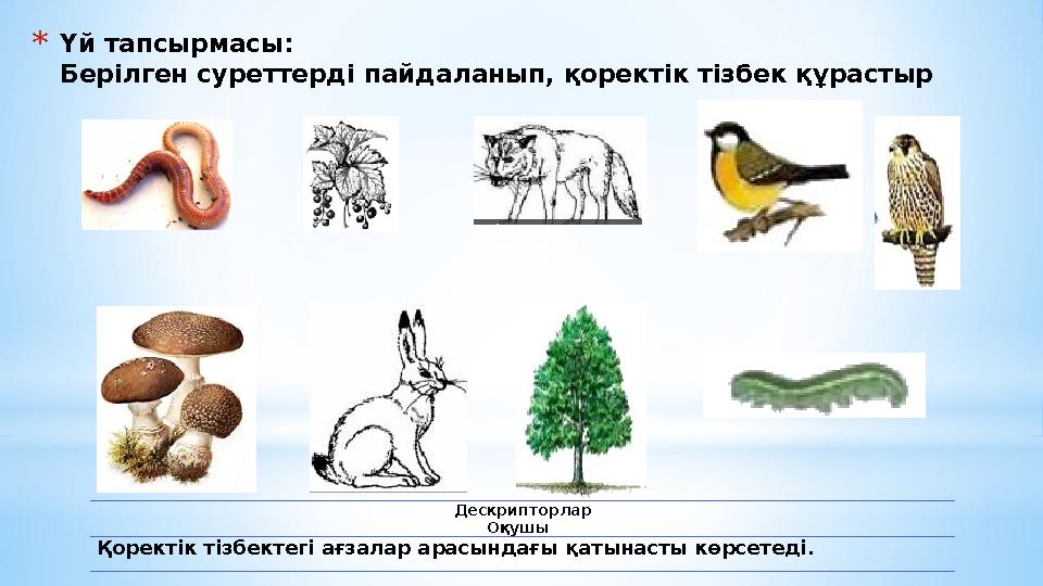 * Үй тапсырмасы: Берілген суреттерді пайдаланып, қоректік тізбек құрастыр Дескрипторлар Оқушы Қоректік тізбектегі ағзалар ара