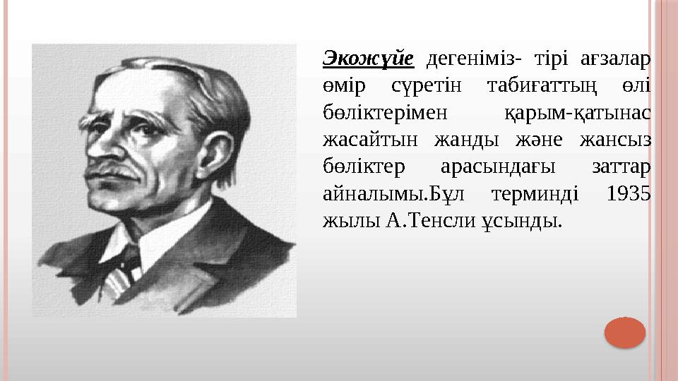 Экожүйе дегеніміз- тірі ағзалар өмір сүретін табиғаттың өлі бөліктерімен қарым-қатынас жасайтын жанды және жансыз