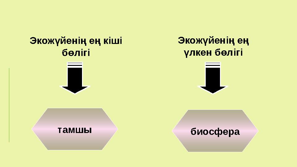 Экожүйенің ең кіші бөлігі Экожүйенің ең үлкен бөлігі тамшы биосфера