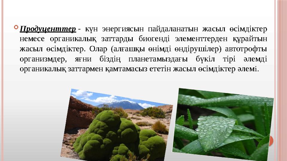  Продуценттер - күн энергиясын пайдаланатын жасыл өсімдіктер немесе органикалық заттарды биогенді элементтерден құ