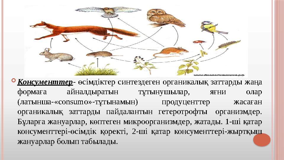 Консументтер - өсімдіктер синтездеген органикалық заттарды жаңа формаға айналдыратын тұтынушылар, яғни олар (латынш