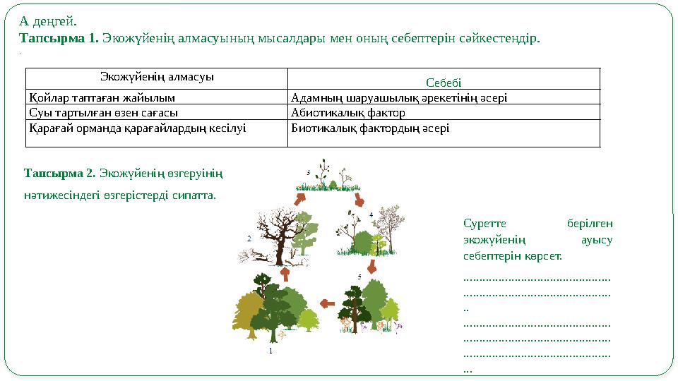 Экожүйенің алмасуы Себебі Қойлар таптаған жайылым Адамның шаруашылық әрекетінің әсері Суы тартылған өзен сағасы Абиотикалық фа