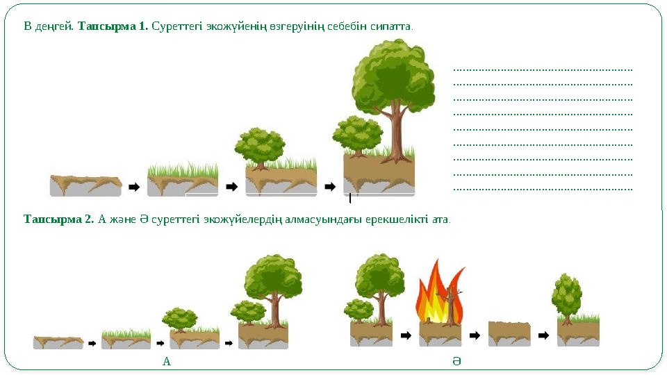 В деңгей. Тапсырма 1. Суреттегі экожүйенің өзгеруінің себебін сипатта . .....................................................