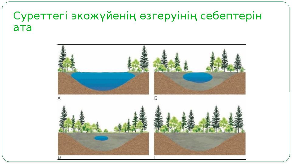 Суреттегі экожүйенің өзгеруінің себептерін ата