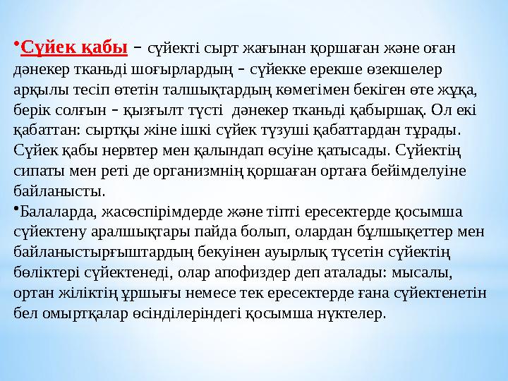 • Сүйек қабы – сүйекті сырт жағынан қоршаған және оған дәнекер тканьді шоғырлардың – сүйекке ерекше өзекшелер арқылы тес