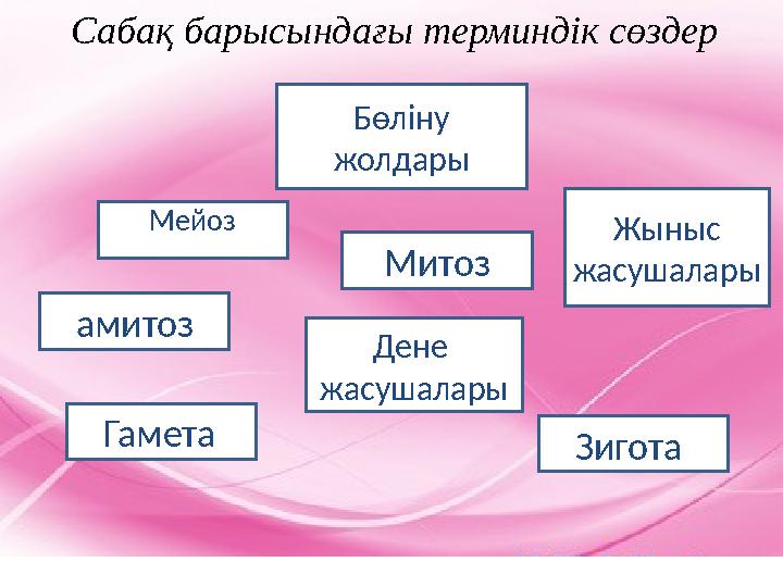 Сабақ барысындағы терминдік сөздер Мейоз Бөліну жолдары амитоз Гамета Митоз Жыныс жасушалары Зигота Дене жасушалары